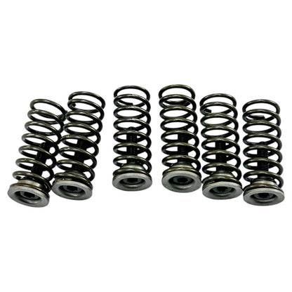2015 2016 APRILIA RSV4 ENGINE CLUTCH ASSEMBLY SPRINGS GEARS STOCK OEM