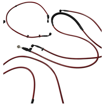 2020 - 24 BMW S1000RR ABS HOSE SET RED LINES FRONT BACK BRAKE HOSES AFTERMARKET