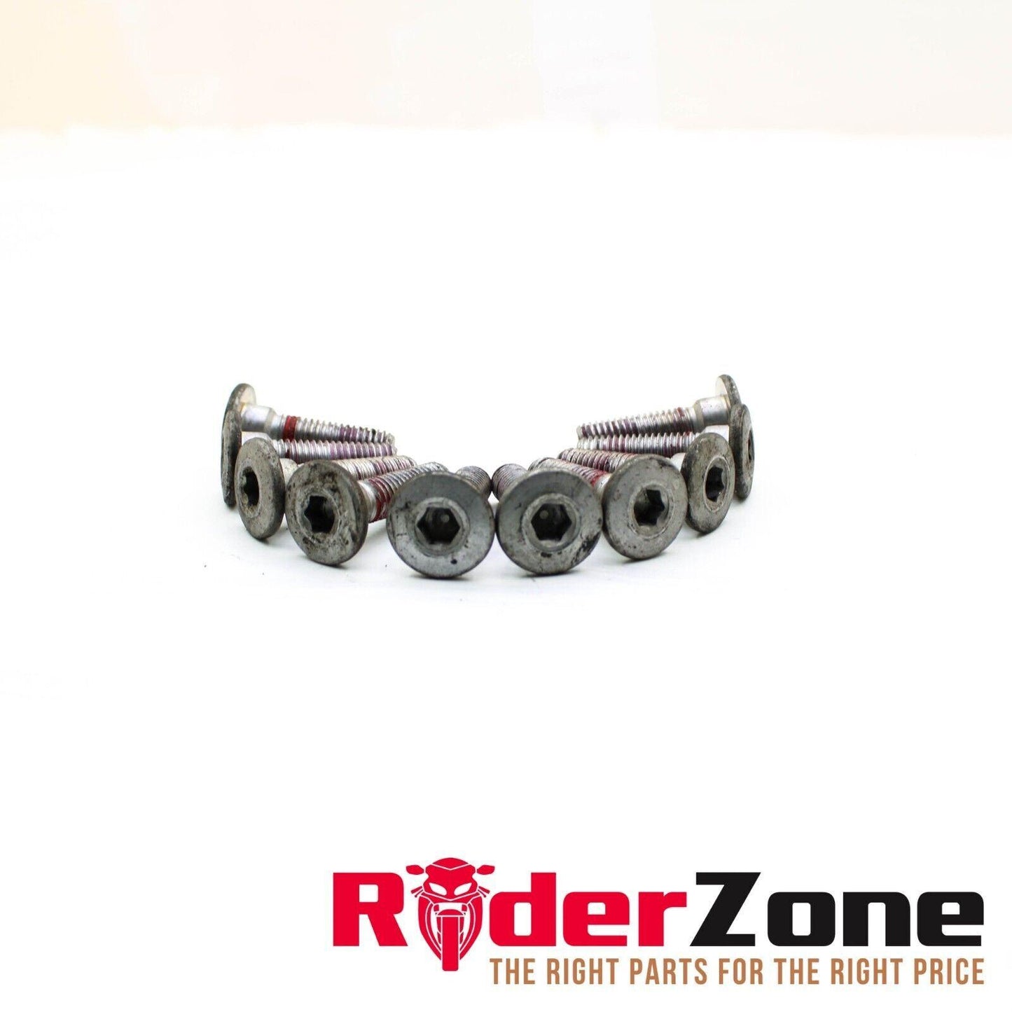 2015 - 2019 KAWASAKI NINJA ZX10R FRONT BRAKE ROTOR BOLTS HARDWARE DISC SET
