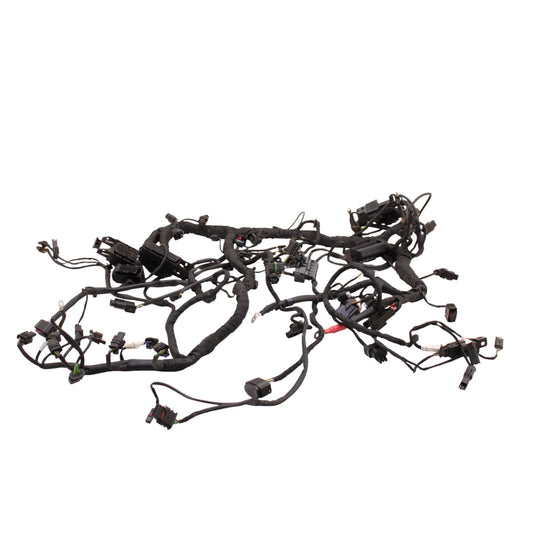 2020 - 2024 BMW S1000RR MAIN HARNESS WIRING LOOM ELECTRICAL SYSTEM LITTLE CUT