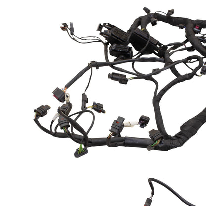 2020 - 2024 BMW S1000RR MAIN HARNESS WIRING LOOM ELECTRICAL SYSTEM LITTLE CUT