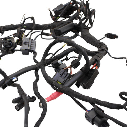 2020 - 2024 BMW S1000RR MAIN HARNESS WIRING LOOM ELECTRICAL SYSTEM LITTLE CUT