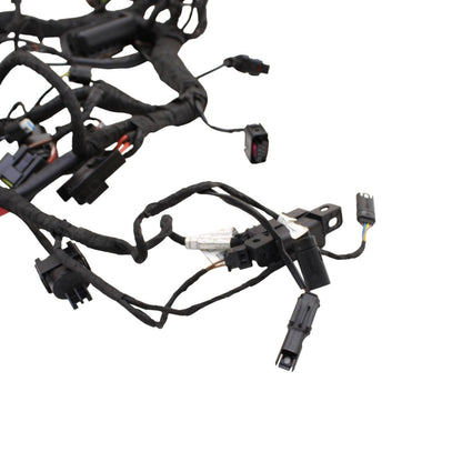 2020 - 2024 BMW S1000RR MAIN HARNESS WIRING LOOM ELECTRICAL SYSTEM LITTLE CUT