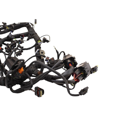 2020 - 2024 BMW S1000RR MAIN HARNESS WIRING LOOM ELECTRICAL SYSTEM LITTLE CUT