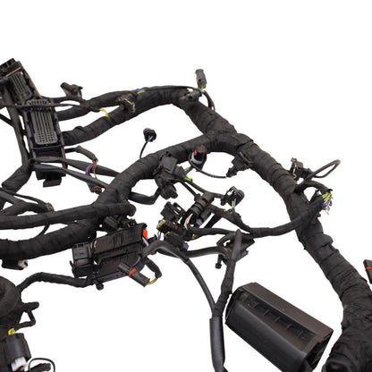2020 - 2024 BMW S1000RR MAIN HARNESS WIRING LOOM ELECTRICAL SYSTEM LITTLE CUT