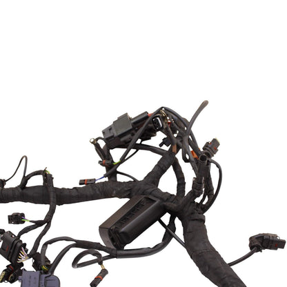 2020 - 2024 BMW S1000RR MAIN HARNESS WIRING LOOM ELECTRICAL SYSTEM LITTLE CUT