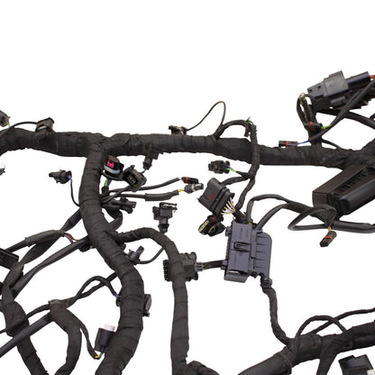 2020 - 2024 BMW S1000RR MAIN HARNESS WIRING LOOM ELECTRICAL SYSTEM LITTLE CUT