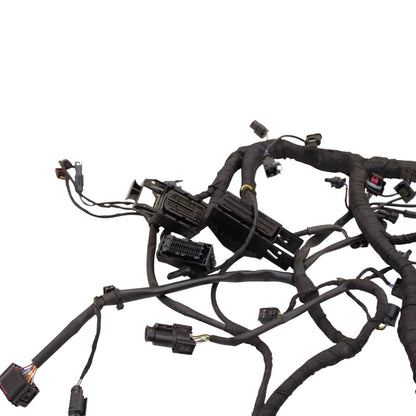 2020 - 2024 BMW S1000RR MAIN HARNESS WIRING LOOM ELECTRICAL SYSTEM LITTLE CUT