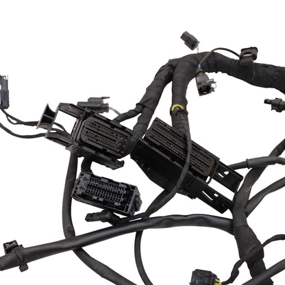 2020 - 2024 BMW S1000RR MAIN HARNESS WIRING LOOM ELECTRICAL SYSTEM LITTLE CUT