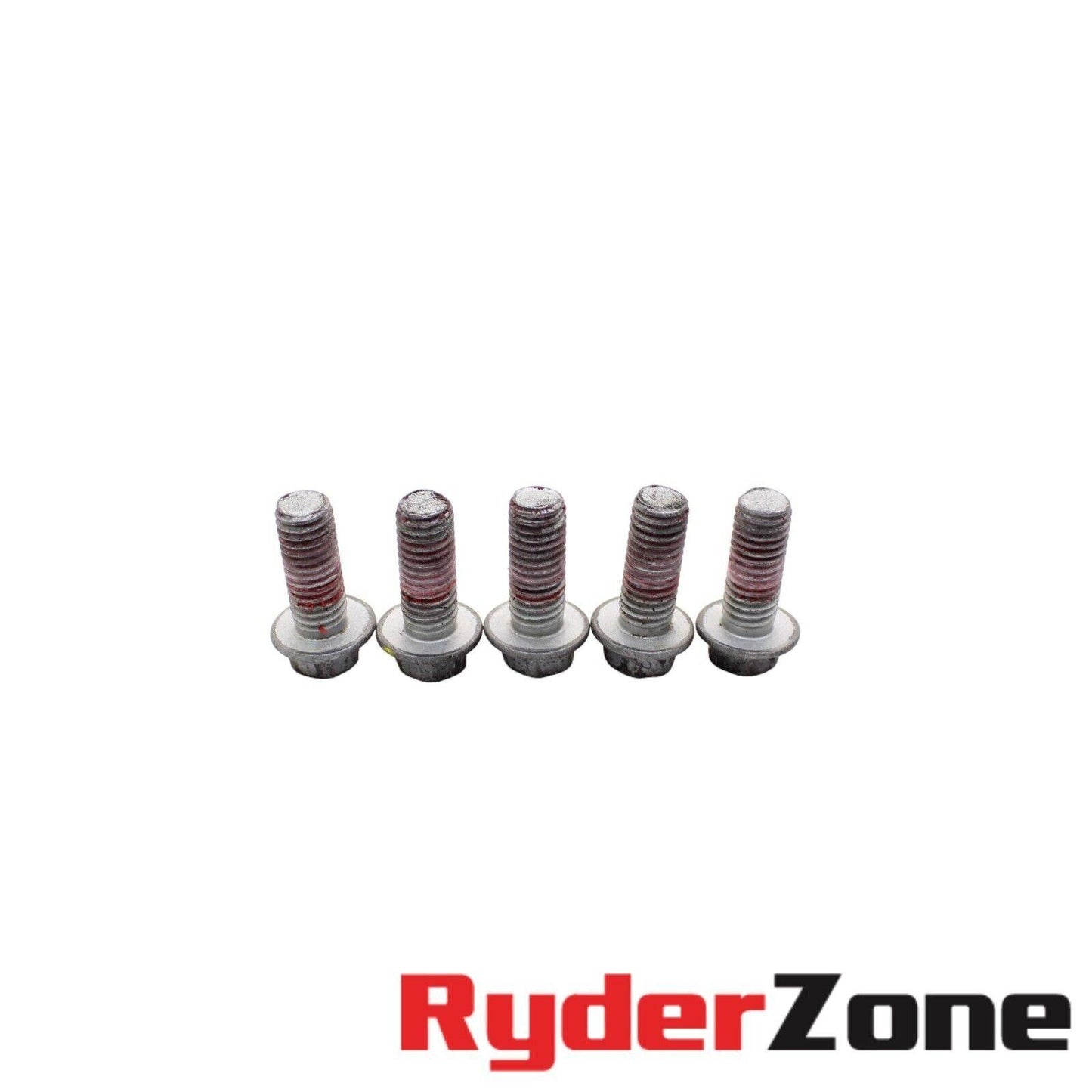 2017 - 2020 APRILIA TUONO V4 REAR BRAKE ROTOR DISC BOLTS HARDWARE STRAIGHT RING