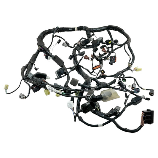 2016 - 2020 KAWASAKI NINJA ZX10R MAIN WIRING HARNESS ENGINE MOTOR WIRE LOOM OEM