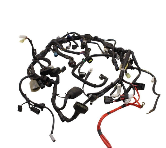 2014 - 2016 YAMAHA FJ09 MAIN HARNESS ENGINE WIRING LOOM ELECTRICAL SYSTEM OEM