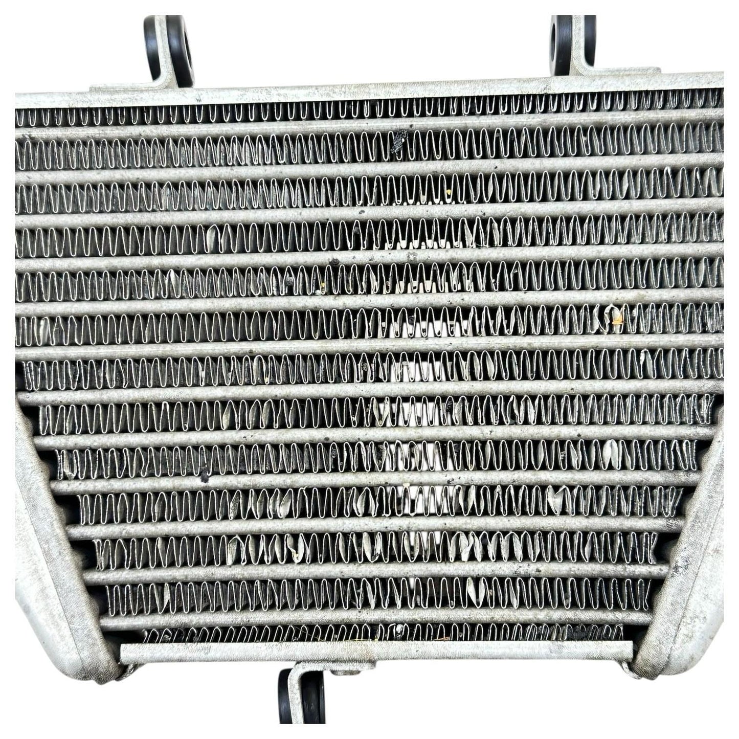 2015 2016 APRILIA RSV4 RF OIL COOLER RADIATOR ENGINE MOTOR COOLING STOCK OEM