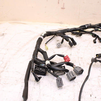 2024 - 2025 KAWASAKI NINJA ZX6R MAIN WIRING HARNESS ENGINE MOTOR WIRE LOOM *CUT*