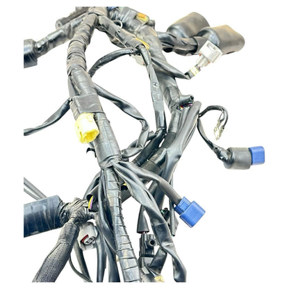 2015 - 2019 YAMAHA YZF R1 MAIN HARNESS WIRING ENGINE MOTOR WIRE LOOM ELECTRICAL