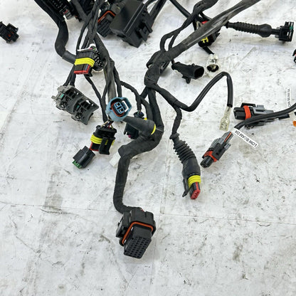 2016 - 2019 DUCATI 959 PANIGALE MAIN WIRING HARNESS ENGINE MOTOR WIRE LOOM STOCK