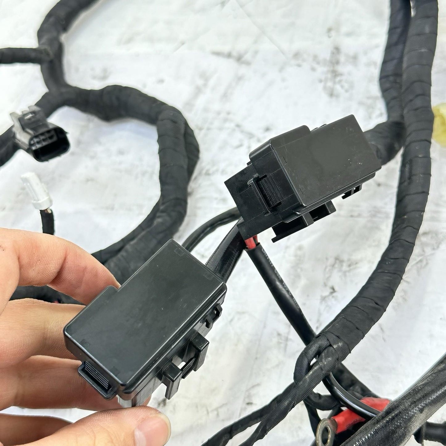 2016 - 2019 DUCATI 959 PANIGALE MAIN WIRING HARNESS ENGINE MOTOR WIRE LOOM STOCK