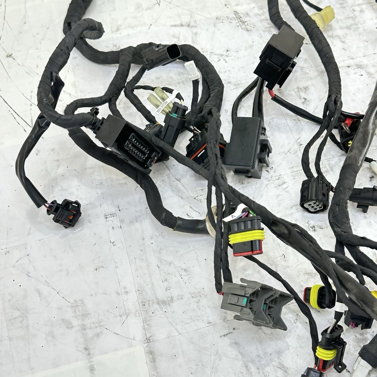 2016 - 2019 DUCATI 959 PANIGALE MAIN WIRING HARNESS ENGINE MOTOR WIRE LOOM STOCK