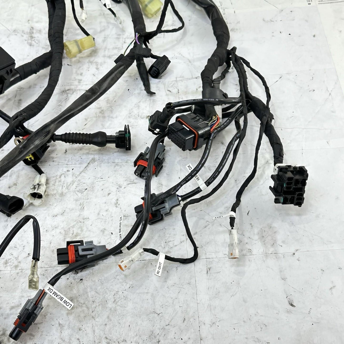 2016 - 2019 DUCATI 959 PANIGALE MAIN WIRING HARNESS ENGINE MOTOR WIRE LOOM STOCK