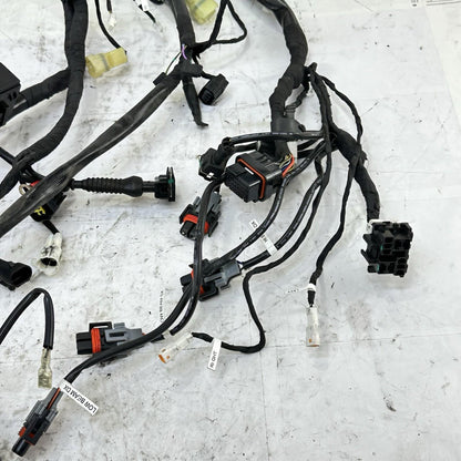 2016 - 2019 DUCATI 959 PANIGALE MAIN WIRING HARNESS ENGINE MOTOR WIRE LOOM STOCK