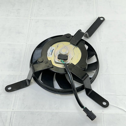 2013 - 2017 TRIUMPH DAYTONA 675 RADIATOR FAN ENGINE MOTOR COOLING BOLTS STOCK