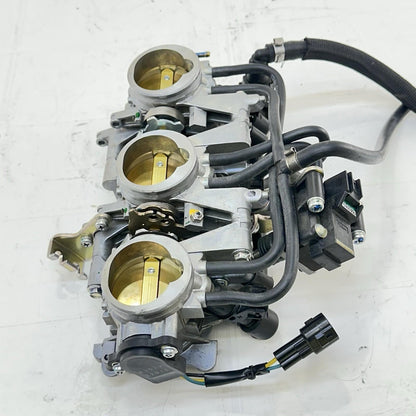 2013 - 2017 TRIUMPH DAYTONA 675 THROTTLE BODY FUEL INJECTORS MAIN RAILING STOCK