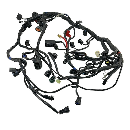 2013 - 2017 TRIUMPH DAYTONA 675 WIRING HARNESS MAIN ENGINE MOTOR WIRE LOOM STOCK