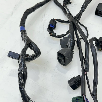 2013 - 2017 TRIUMPH DAYTONA 675 WIRING HARNESS MAIN ENGINE MOTOR WIRE LOOM STOCK