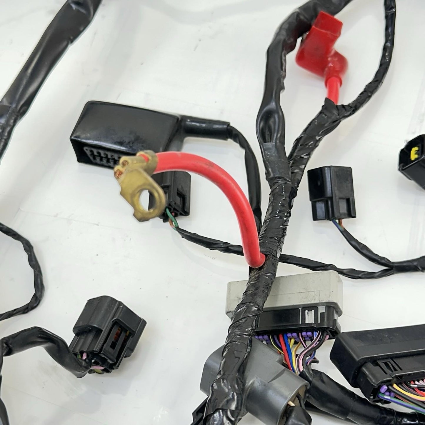 2013 - 2017 TRIUMPH DAYTONA 675 WIRING HARNESS MAIN ENGINE MOTOR WIRE LOOM STOCK