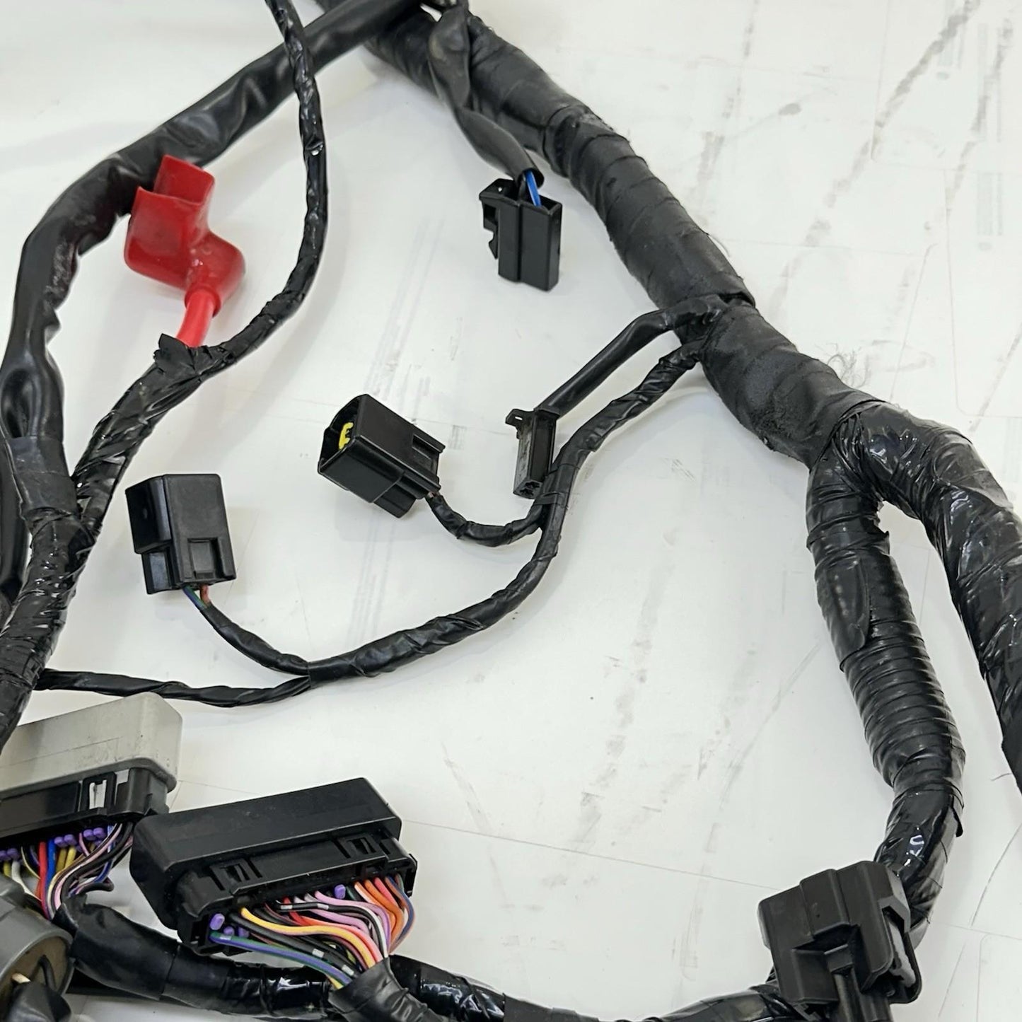 2013 - 2017 TRIUMPH DAYTONA 675 WIRING HARNESS MAIN ENGINE MOTOR WIRE LOOM STOCK