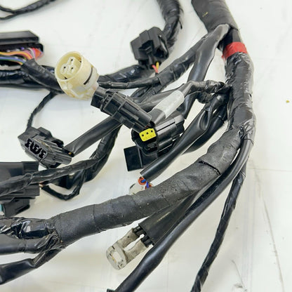 2013 - 2017 TRIUMPH DAYTONA 675 WIRING HARNESS MAIN ENGINE MOTOR WIRE LOOM STOCK