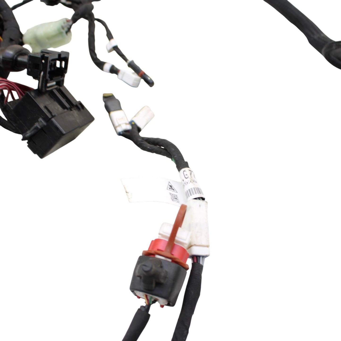 2020 - 2024 DUCATI PANIGALE V2 MAIN HARNESS WIRING ENGINE MOTOR WIRE ELECTRICAL