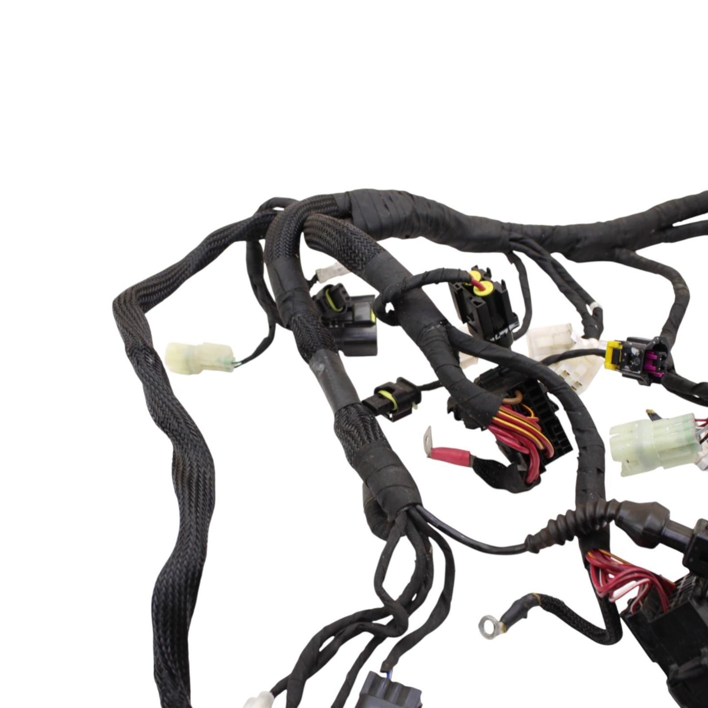 2020 - 2024 DUCATI PANIGALE V2 MAIN HARNESS WIRING ENGINE MOTOR WIRE ELECTRICAL