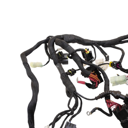 2020 - 2024 DUCATI PANIGALE V2 MAIN HARNESS WIRING ENGINE MOTOR WIRE ELECTRICAL