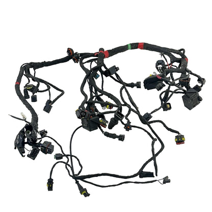 2016 - 2018 DUCATI HYPERMOTARD 939 MAIN WIRING HARNESS ENGINE MOTOR WIRE LOOM