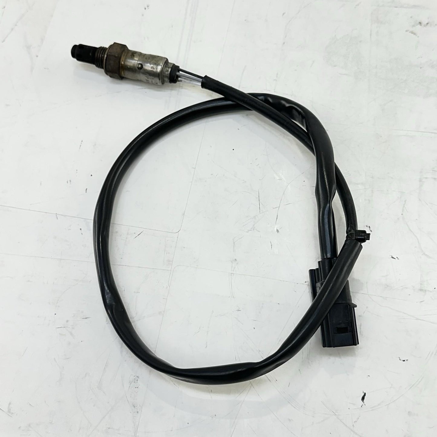 2017 - 2019 HONDA CBR 1000RR SP O2 OXYGEN SENSOR LAMBDA WIRE LINE CABLE
