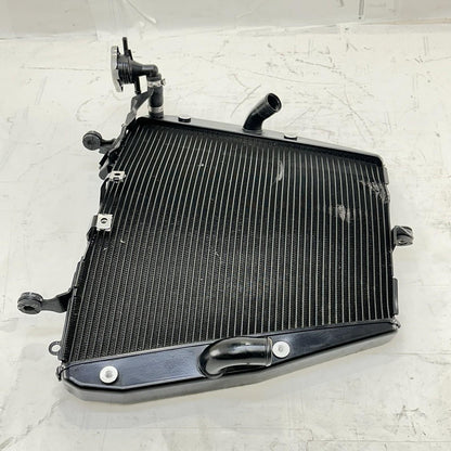 2017 - 2019 HONDA CBR 1000RR SP RADIATOR ENGINE COOLER MOTOR COOLING STOCK
