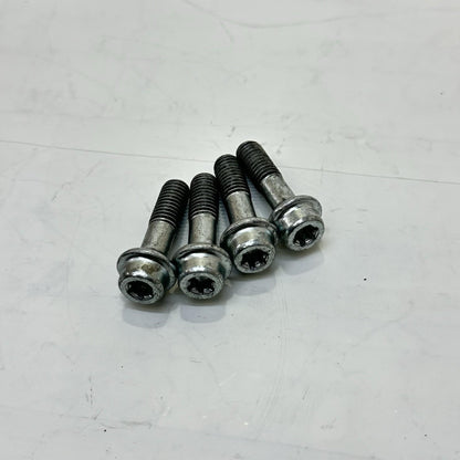 2018 - 2024 DUCATI PANIGALE V4S SWINGARM BOLTS SCREWS HARDWARE SET STOCK