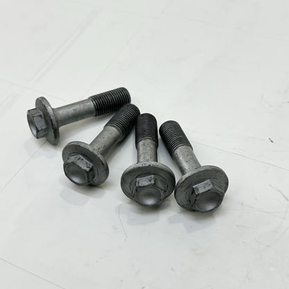 2018 - 2024 DUCATI PANIGALE V4S SWINGARM BOLTS SCREWS HARDWARE SET STOCK