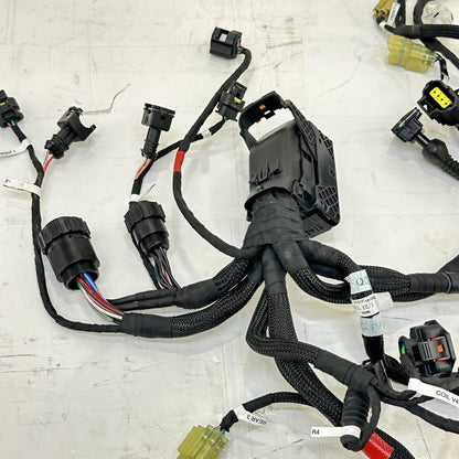 2018 - 2024 DUCATI PANIGALE V4S SUB WIRING HARNESS ENGINE MOTOR WIRE LOOM STOCK