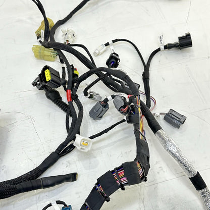 2018 - 2024 DUCATI PANIGALE V4S SUB WIRING HARNESS ENGINE MOTOR WIRE LOOM STOCK