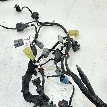 2018 - 2024 DUCATI PANIGALE V4S SUB WIRING HARNESS ENGINE MOTOR WIRE LOOM STOCK
