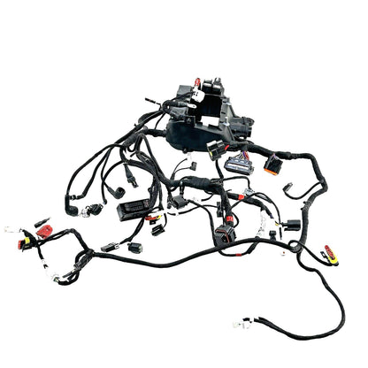 2018 - 2024 DUCATI PANIGALE V4S MAIN WIRING HARNESS ENGINE MOTOR WIRE LOOM STOCK