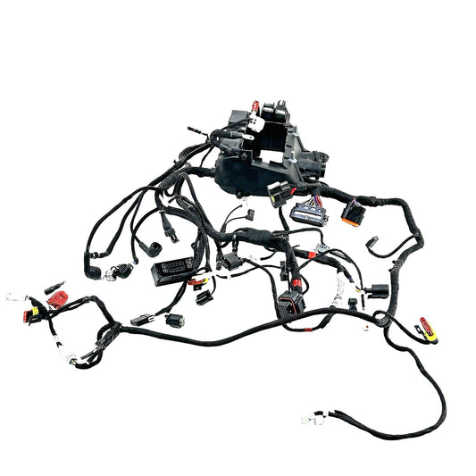 2018 - 2024 DUCATI PANIGALE V4S MAIN WIRING HARNESS ENGINE MOTOR WIRE LOOM STOCK