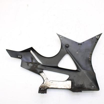 2010 - 2014 BMW S1000RR LOWER FAIRING PANEL BELLY Pan Left RIGHT SIDE PLASTICS