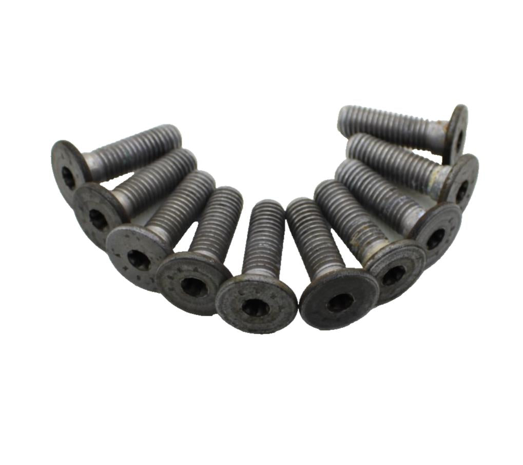 2009 - 2014 BMW S1000RR FRONT BRAKE ROTOR BOLTS Wheel Rim Brembo SILVER