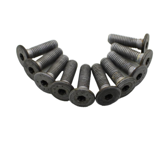 2009 - 2014 BMW S1000RR FRONT BRAKE ROTOR BOLTS Wheel Rim Brembo SILVER