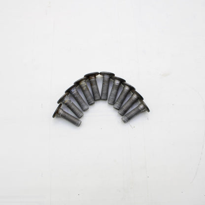 2009 - 2014 BMW S1000RR FRONT BRAKE ROTOR BOLTS Wheel Rim Brembo SILVER