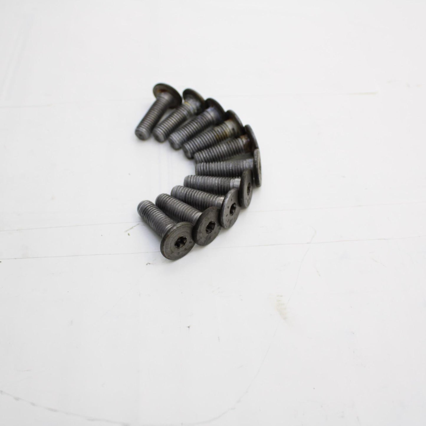 2009 - 2014 BMW S1000RR FRONT BRAKE ROTOR BOLTS Wheel Rim Brembo SILVER