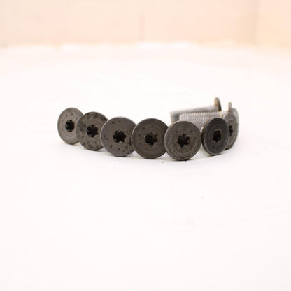 2009 - 2014 BMW S1000RR FRONT BRAKE ROTOR BOLTS Wheel Rim Brembo SILVER